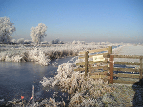 polder in de winter polder in de winter