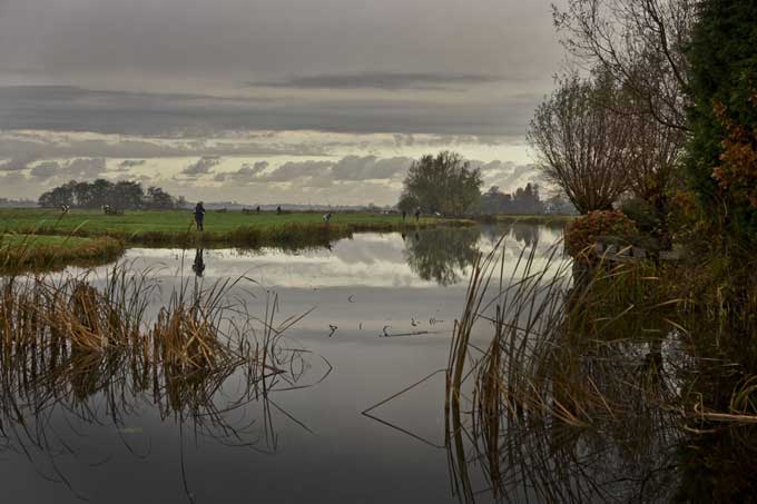 In de polder