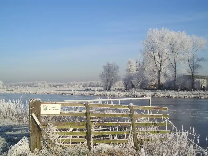 voorjaar2009_2