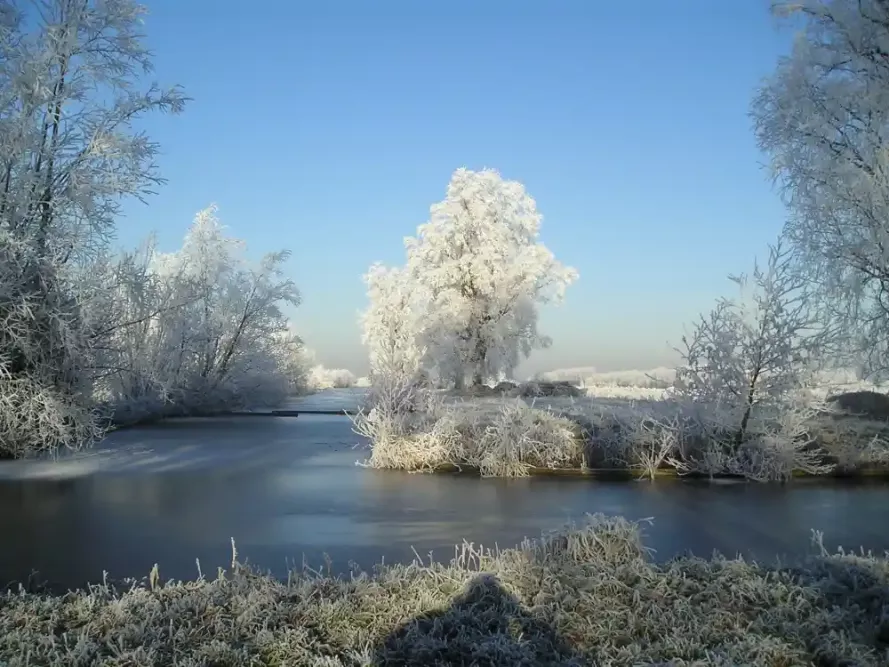 voorjaar2009_4