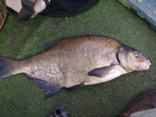 Met de nichtjes naar de Gagel Met de nichtjes naar de Gagel
